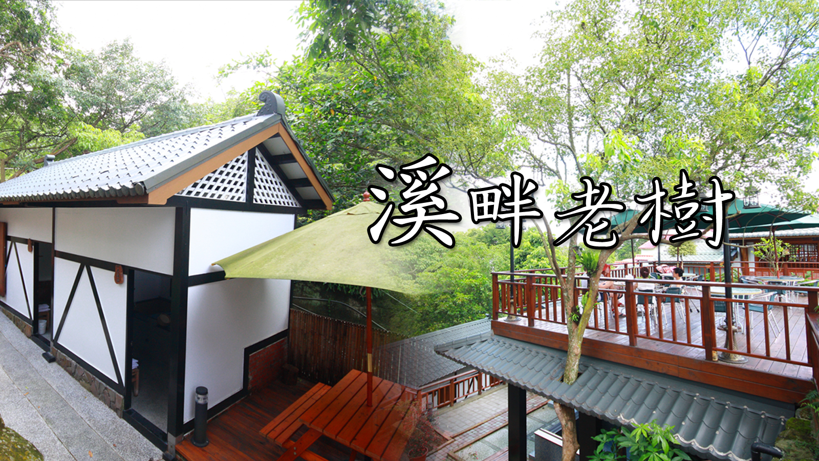 溪畔老樹溫泉山莊 圖片